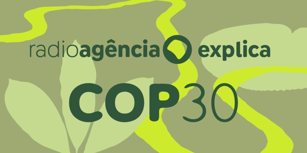 cop30:-descubra-qual-e-o-papel-do-brasil-nas-negociacoes-sobre-o-clima