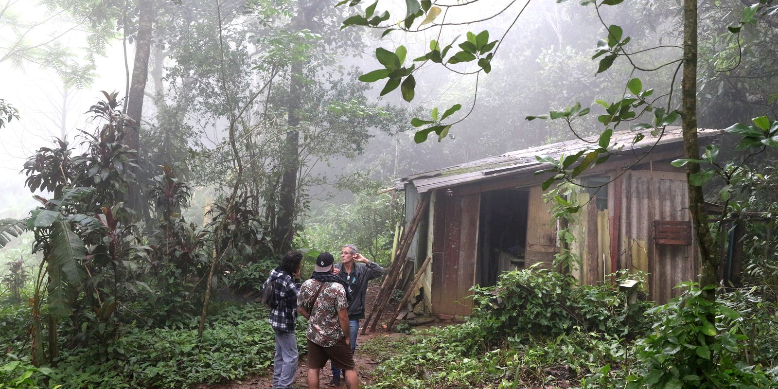 quilombolas-preservam-92%-da-vegetacao-nativa-na-amazonia