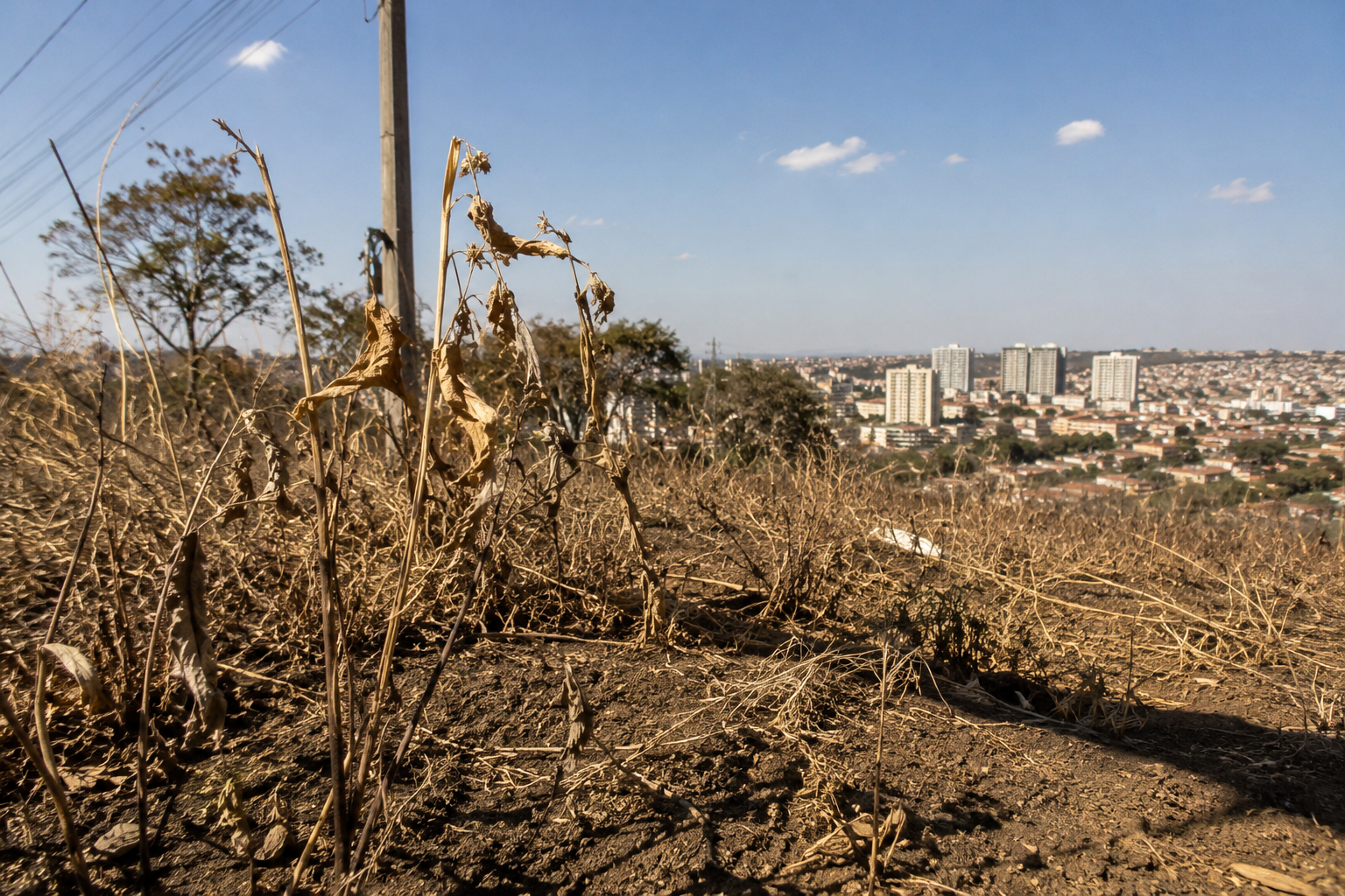 Defesa Civil alerta para aumento do risco de incêndios em São Paulo