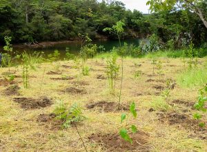 serrinha-do-paranoa-(df)-vira-parque-para-proteger-ecossistemas